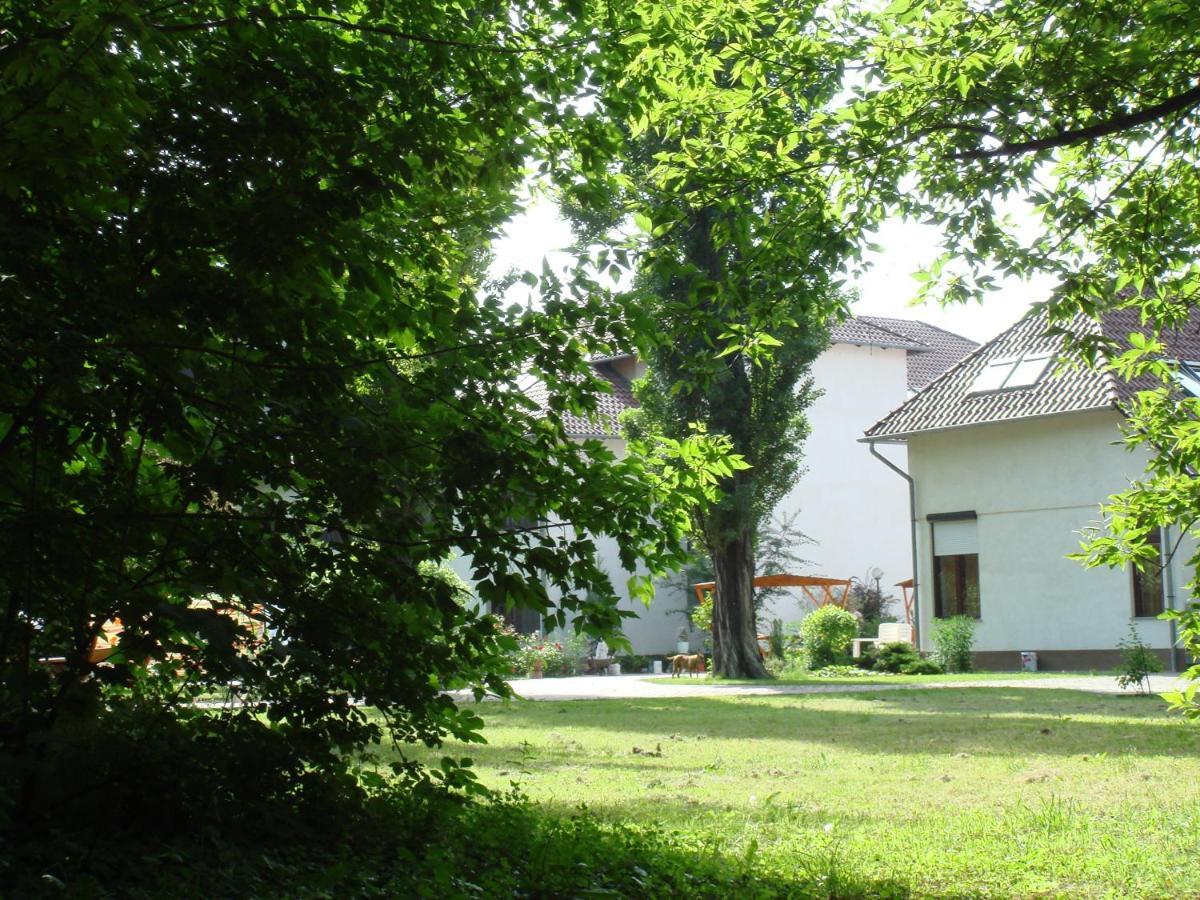 Roza Hotel Es Apartmanhaz Esztergom Exterior foto